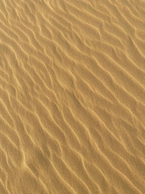 Бархан Сарыкум - Алина