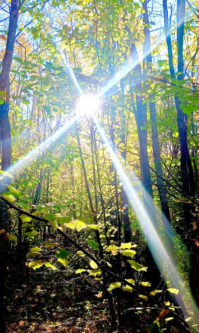 Солнечные зайчики в изумрудном храме - Светлана Башатова