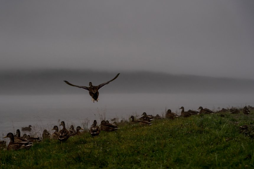 Тишина - Наталья Сташкевич