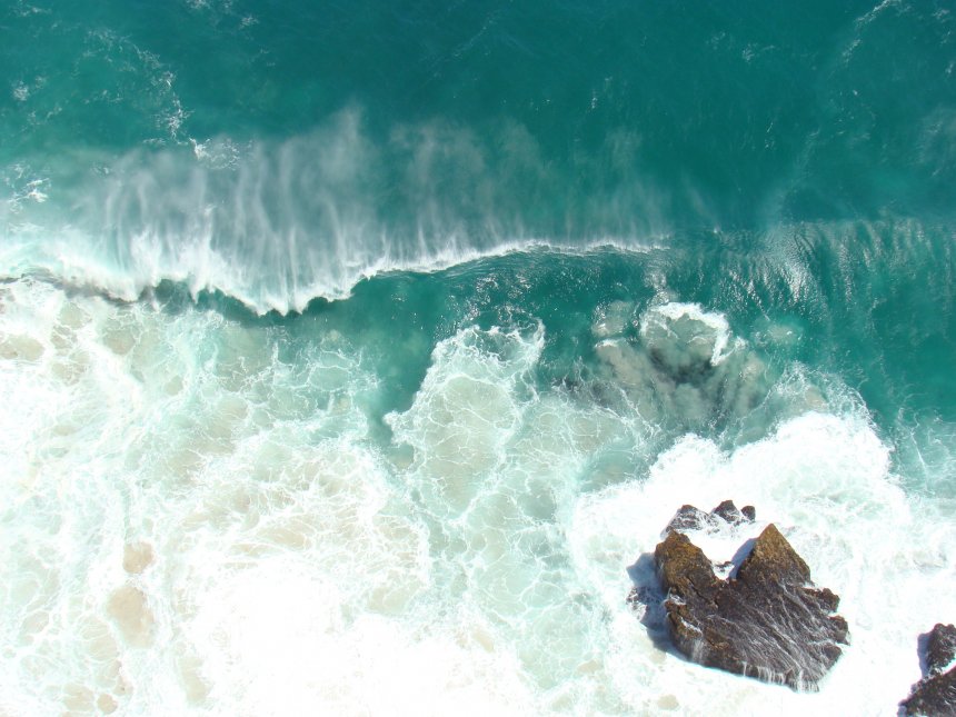 Флора и Фауна Африка 2011 - Вадим (1/7)