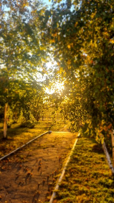 Куда ведет листопад - Анастасия Рахманова