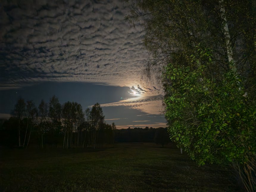 Ночь - Кира Береснева