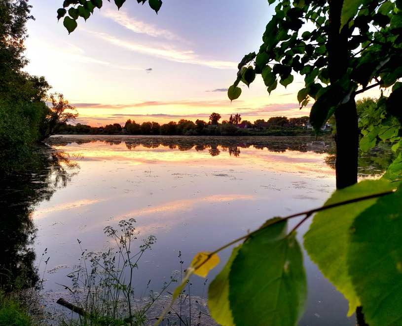 «Пруд детства» - Елена