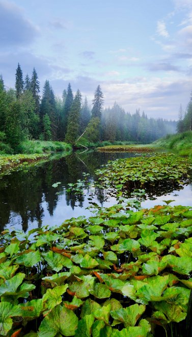 Экспедиция на Костину речку -   (1/8)