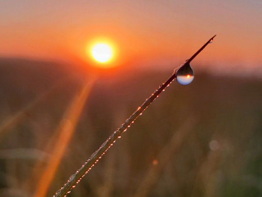 Через призму природы - Галя Родченко