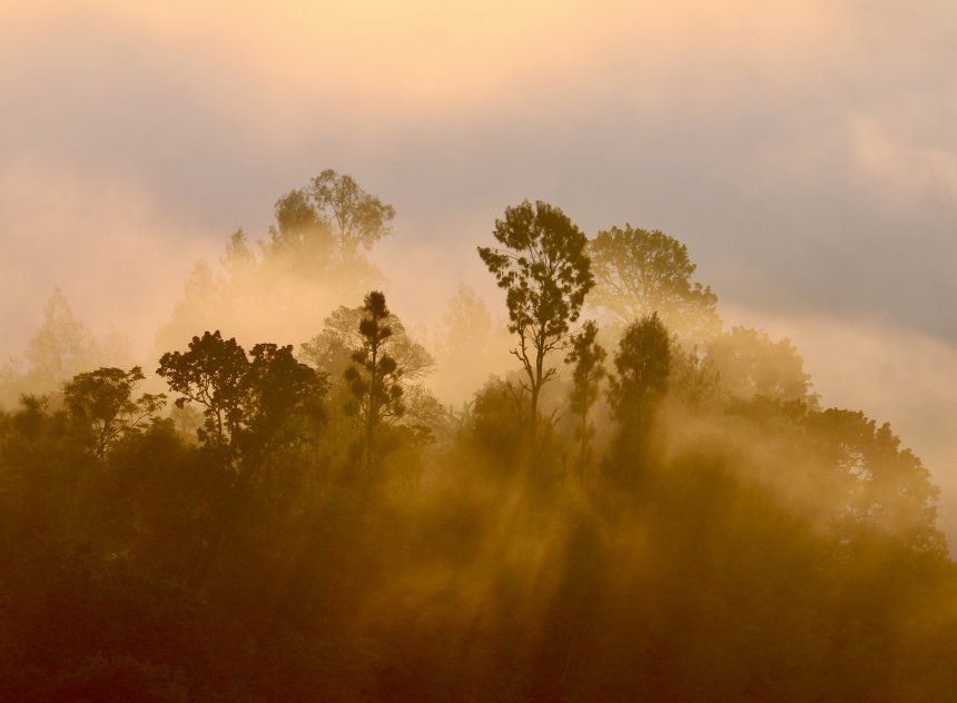 Рассвет у вулкана Агунг - Елена Круглякова