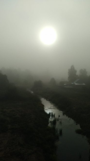 Загадочность тумана - Анна