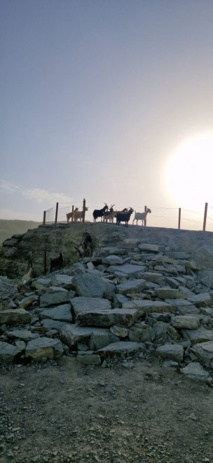 Высоко-высоко в горах… -  