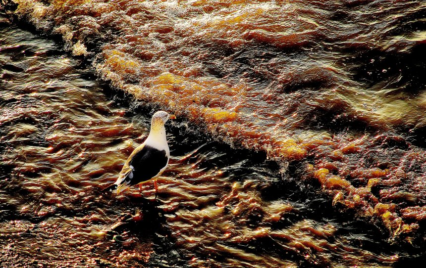 Одиночество -  