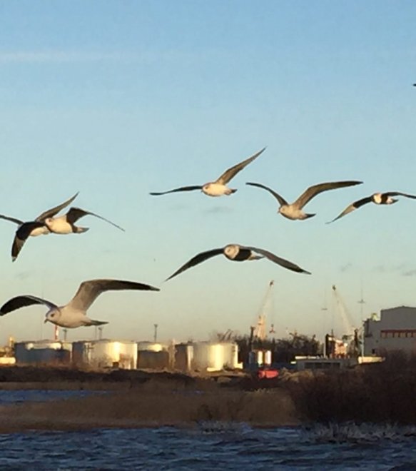 Вперёд, только вперёд!!! -  