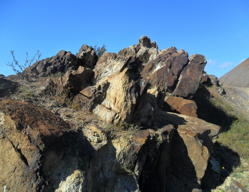 Донецкий кряж - Авельцева Наталия Владимировна