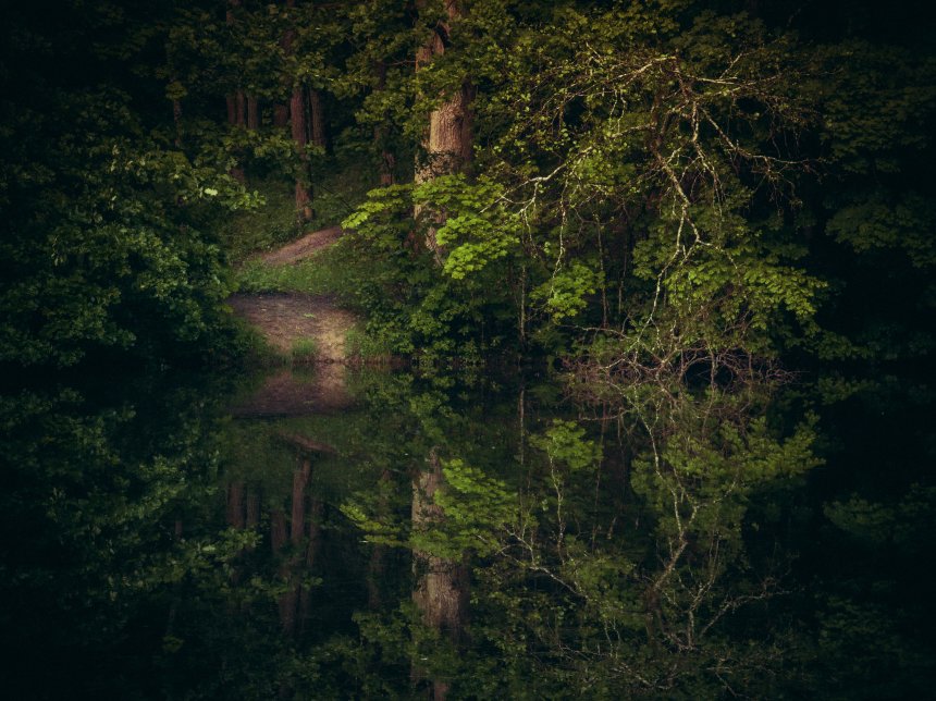 Между мирами - Александр Державин