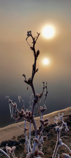 Рассвет на реке Ока и травинка в инее - Анна