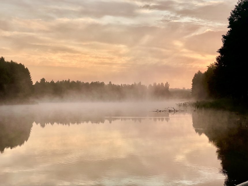 Прохладный рассвет - Галина