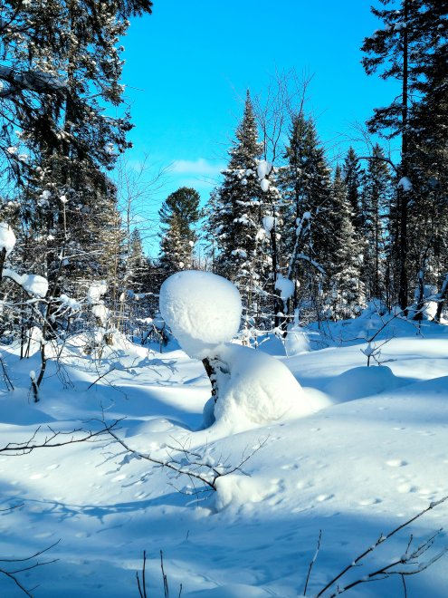 Снежный чабан на Мамае - Анастасия Вознесенская