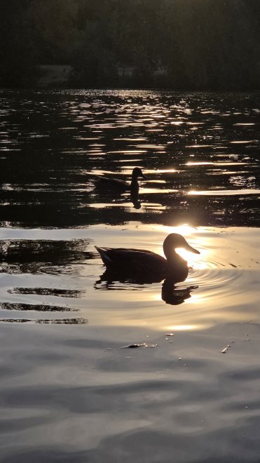 Крейсер на медной глади Бездонного озера - Светлана