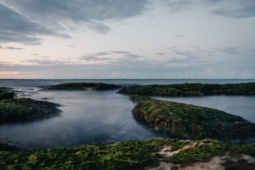 Каспийское побережье -  