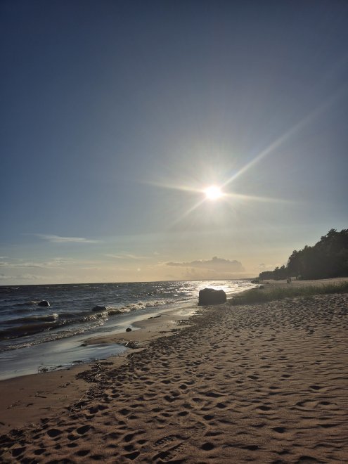 Финский залив с берега -  