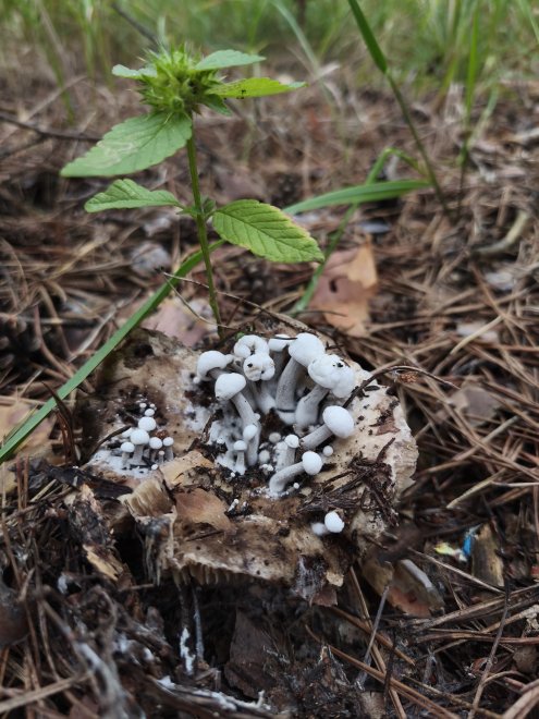 Новая жизнь - Татьяна Ш.