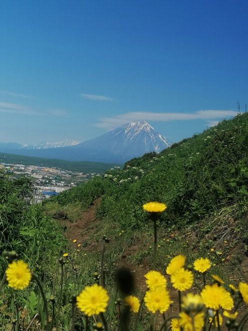 Живая Земля Камчатки -   (1/6)