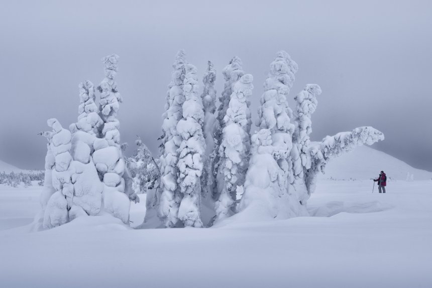 Прогулка среди снежных великанов -   (1/3)