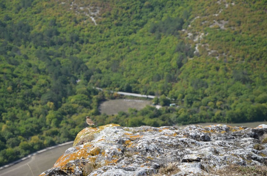 На вершине - Григорий