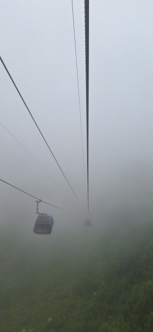 Горная Альпика -   (1/4)