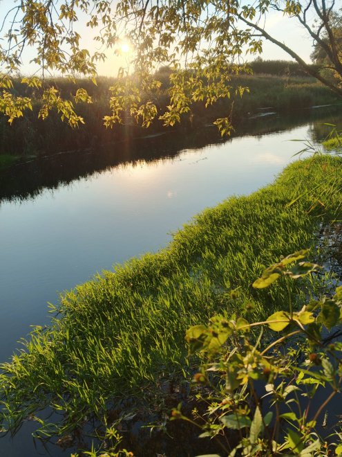 река на закате - Елена