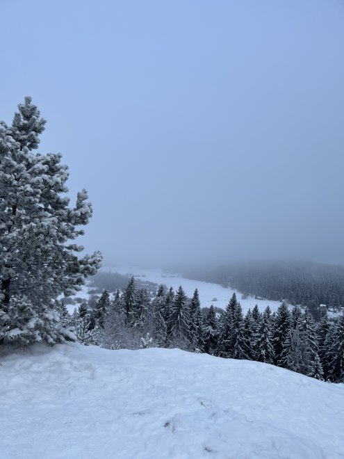 Зимняя сказка Карелии. Winter tale of Karelia - Кузьмина Елена (1/8)