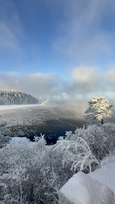 Рождество - Марина