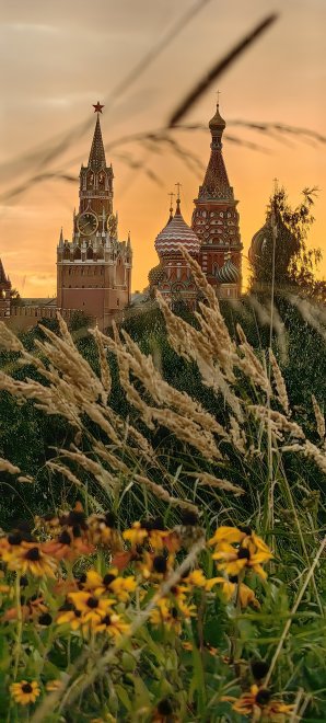 Моя Москва! -  