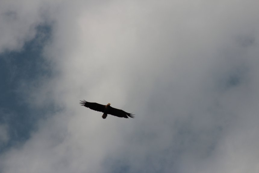 Повелитель неба - Алексей