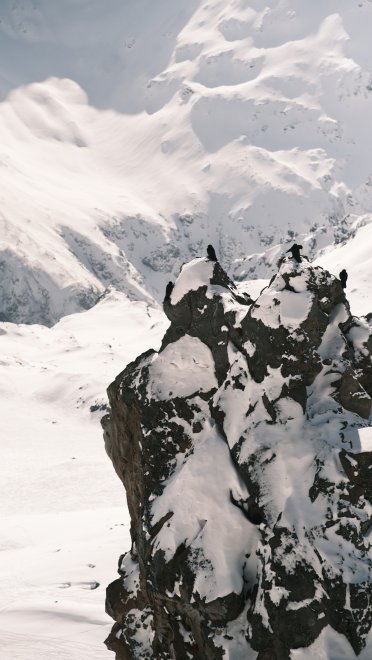 У подножия великана -   (1/7)