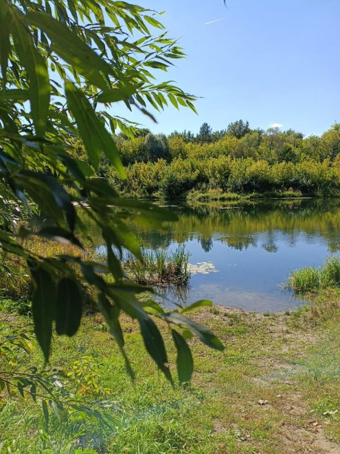 Чистый Хопёр: осеннее окно -  