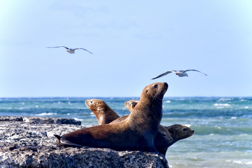 На краю России -  