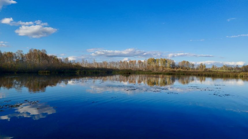 Тихая лазурь - Дарья