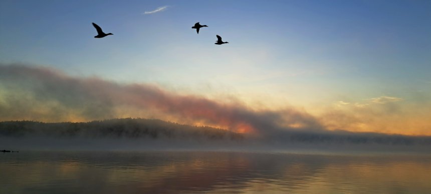 За минуту до восхода - Галина