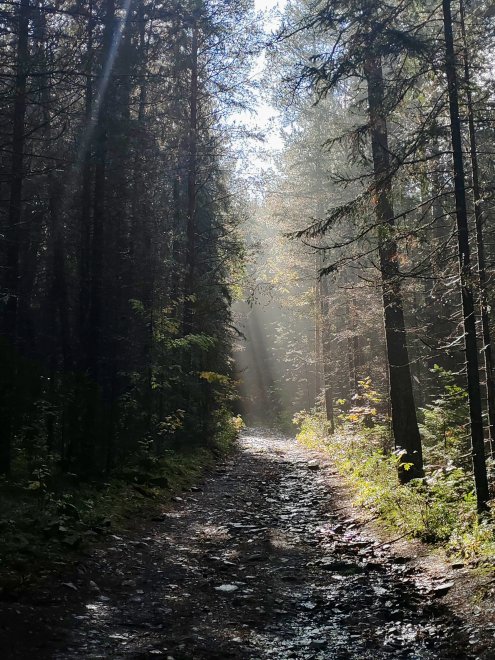 Зеркало природы -  