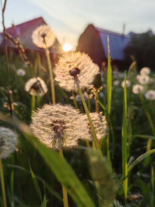 Легкие и воздушные -  