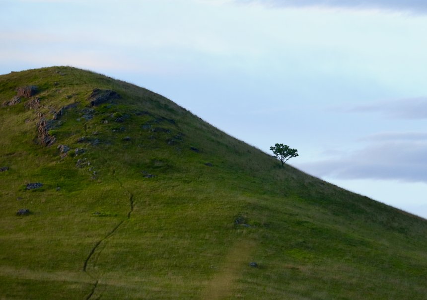 В гордом одиночестве - Елена Круглякова