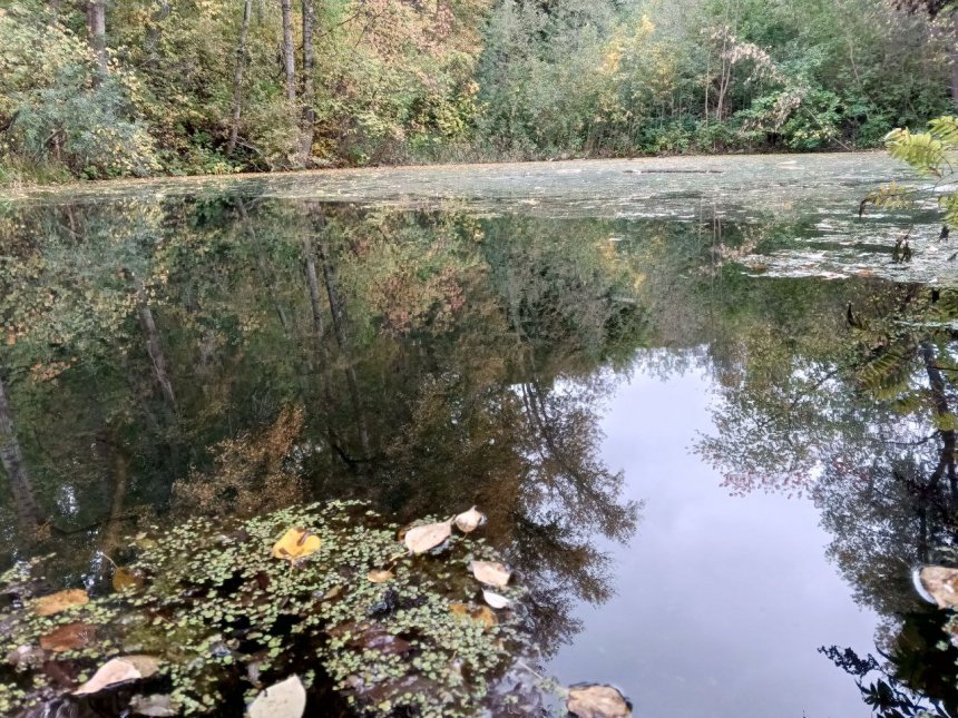 Зеркало воды -  