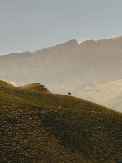 Путник - Андрей Васильев