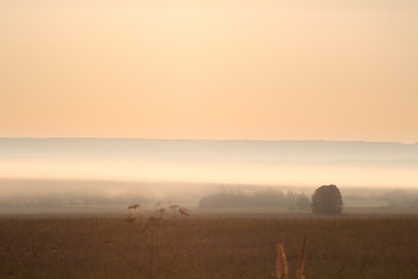 Утренняя дымка - Алексей