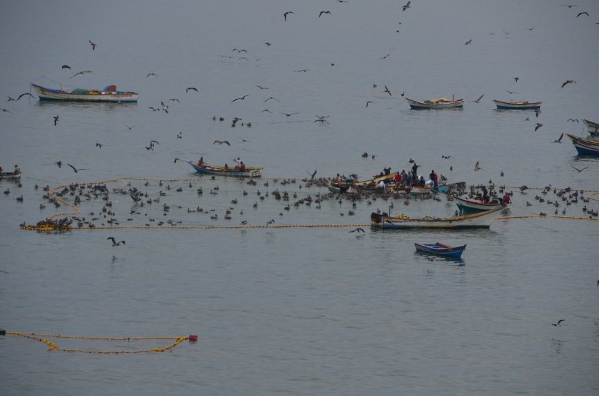 Такая разная Венесуэла -   (1/7)