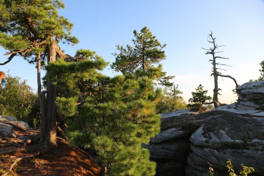 Уральская сказка -   (1/4)