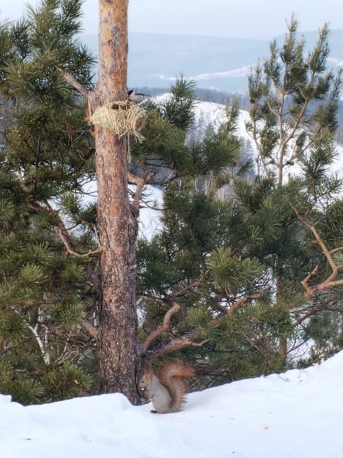 Зимняя сказка - Лара