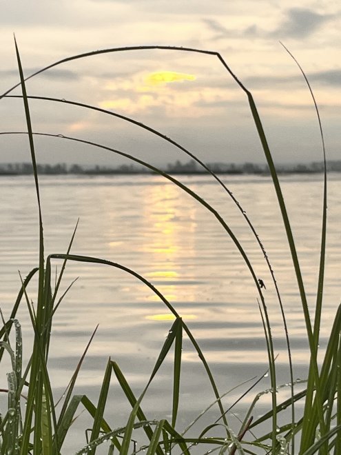 Утро - Наталья