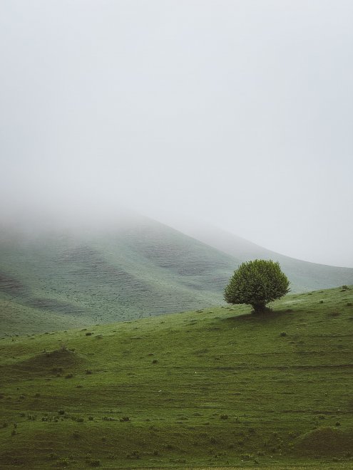 Умиротворение - Андрей Васильев