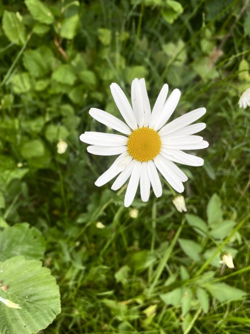 Не плачь. Он любит / Don't cry. He loves - Евгения Максимова