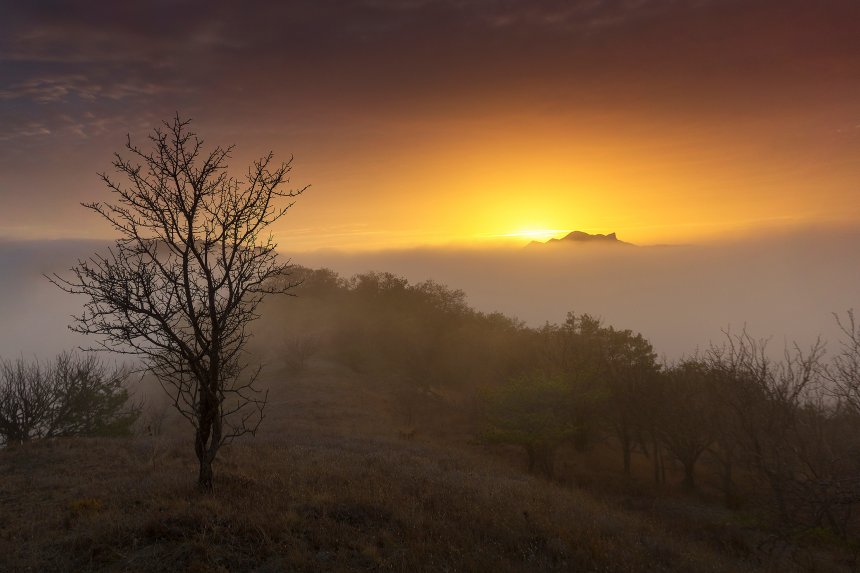 Вечерняя нега -  